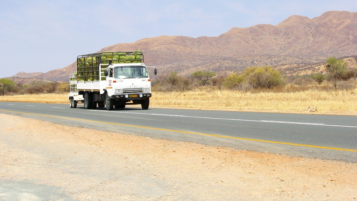 © Shutterstock/ ingehogenbijl | A cargo truck on a highway through Mariental, Namibia.